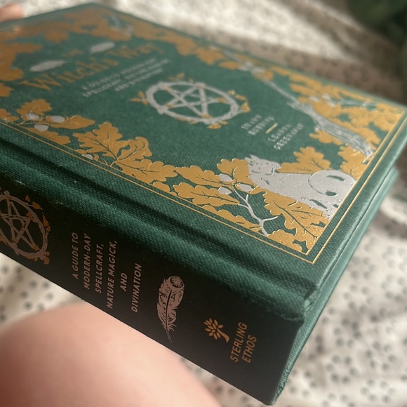 The Witch’s Way hardcover book by Shawn Robbins & Leanna Greenaway - Picture 2 of 9